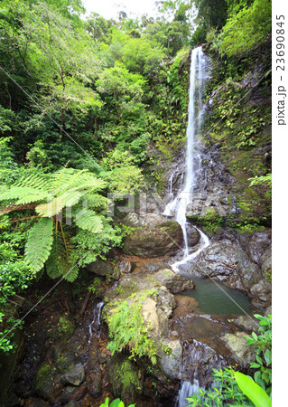 嘉入の滝 23690845