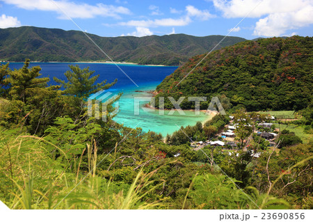 加計呂麻島　佐知克 23690856