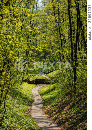 path of small plates in the forest park 23691358
