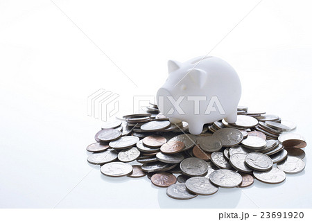豚の貯金箱と硬貨 豚の貯金箱と硬貨 23691920