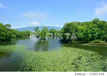 大沼公園 23692208