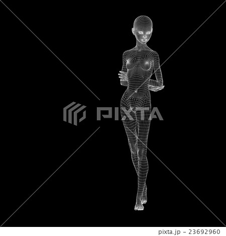 女性の体　ワイヤーフレーム　perming3DCG　イラスト素材　素材 23692960