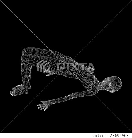 女性の体　ワイヤーフレーム　perming3DCG　イラスト素材　素材 23692963
