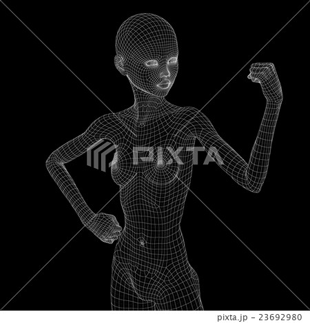 女性の体　ワイヤーフレーム　perming3DCG　イラスト素材　素材 23692980