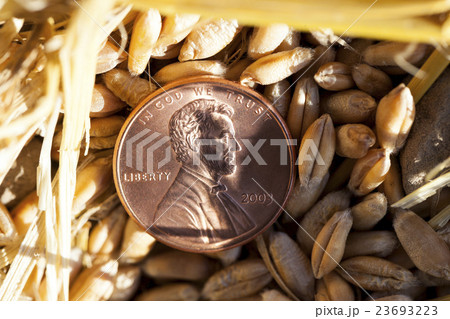 coin in the straw coin in the straw 23693223