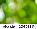 Abstract Nature green bokeh for background 23693364