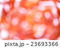 Abstract Red tone blur bokeh light for background. 23693366