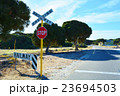 ロットネス島*踏切 23694503