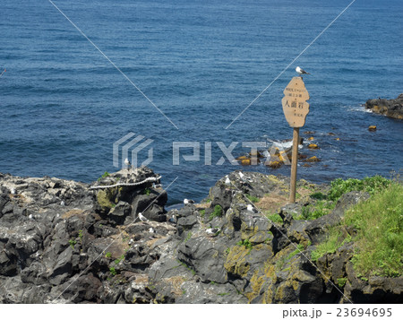 利尻島の人面岩 23694695