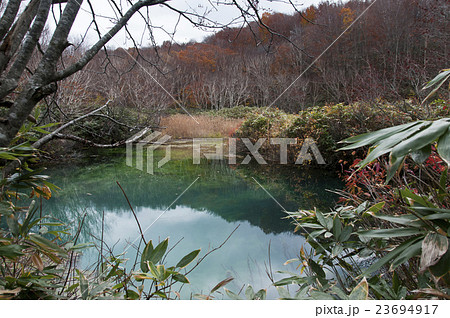 八甲田山　龍神沼 23694917