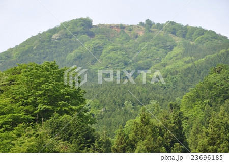 新緑の白馬尾根を望む 新緑の白馬尾根を望む 23696185