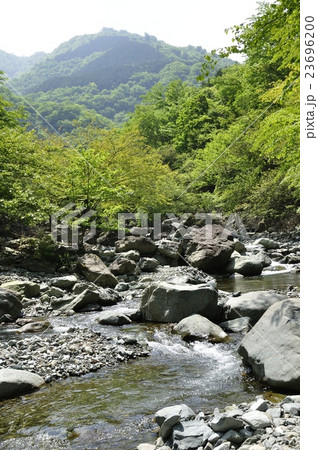 丹沢山地の早戸川上流 丹沢山地の早戸川上流 23696200