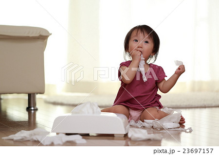 赤ちゃん いたずら (ベビー 幼児 女の子 1才 1歳 ティッシュ ちり紙 鼻紙 フローリング 床) 23697157