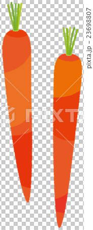 carrot carrot 23698807