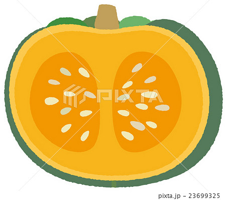 かぼちゃのイラスト素材 23699325 Pixta