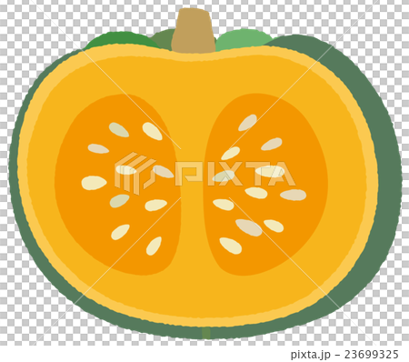 かぼちゃのイラスト素材