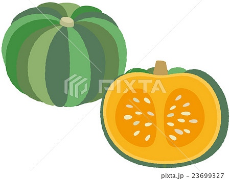 かぼちゃのイラスト素材 23699327 Pixta