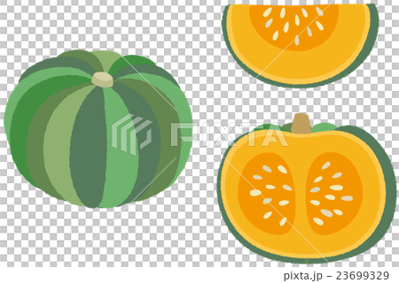 pumpkin pumpkin 23699329