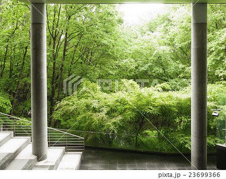 仙台市の北部、宮城県図書館南側の自然豊かな丘陵地森林「書見の道」を見ながら食事を楽しめるレストラン 仙台市の北部、宮城県図書館南側の自然豊かな丘陵地森林「書見の道」を見ながら食事を楽しめるレストラン 23699366