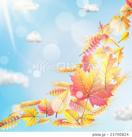 Autumn sun with leaves on blue sky. EPS 10 23700824