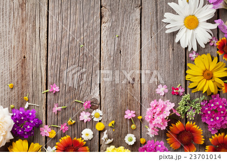 Garden flowers over wood Garden flowers over wood 23701014