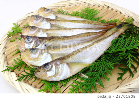 ハタハタ 干物 ハタハタ 干物 23701808