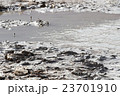 Dead Sea dirt in nature 23701910