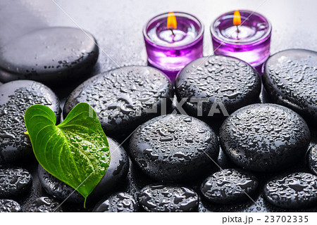 spa still life of green leaf Calla lily, ice  23702335