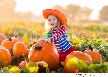 Child playing on pumpkin patch 23703233
