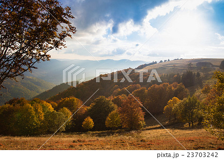 Scenic view of Alsace hills Scenic view of Alsace hills 23703242