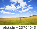 マサイマラサファリのゾウ 23704045