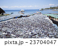 マラウイ湖で取れた魚 23704047