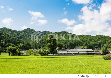 田舎　夏の風景 23705048