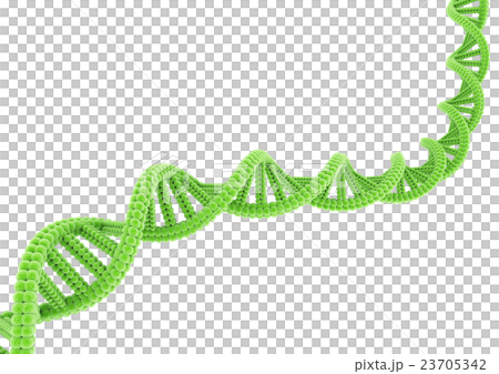 DNA 緑 23705342