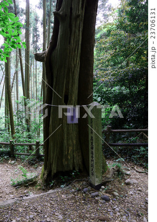 高天神城址 23706131