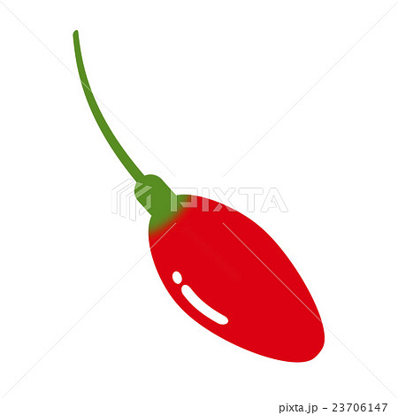 クコの実 23706147