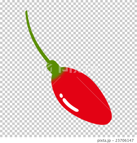 クコの実 23706147