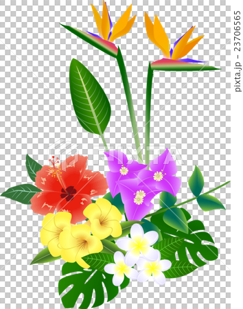 南国の花 Tropical Flowersのイラスト素材