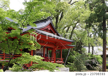 大覚寺 大覚寺 23706593