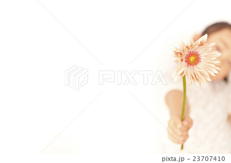 子供一人花 子供一人花 23707410