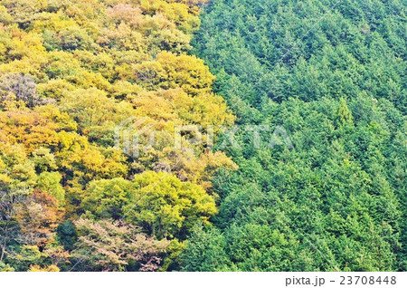 夏から秋へ 23708448