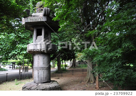 上野東照宮 お化け灯篭の写真素材