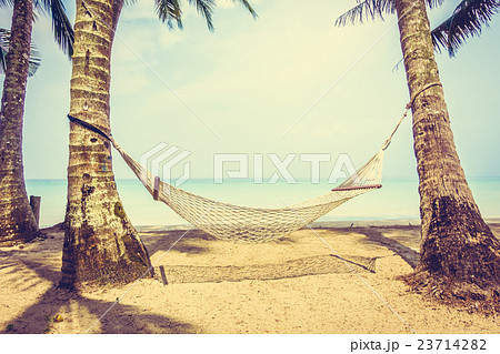 Empty hammock Empty hammock 23714282