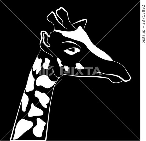 Abstract illustration, black and white giraffe. Abstract illustration, black and white giraffe. 23715892