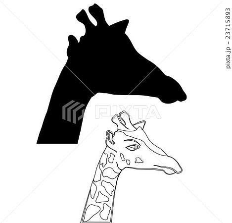 Abstract illustration, black and white giraffe. Abstract illustration, black and white giraffe. 23715893