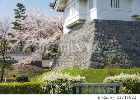 春の忍城 春の忍城 23715922