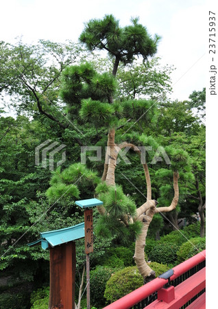 上野恩賜公園　清水観音堂 23715937