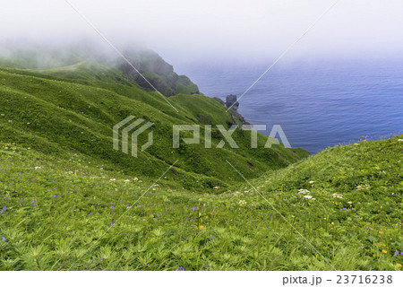 礼文島の桃岩散策路 23716238