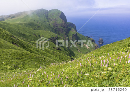 礼文島の桃岩散策路 23716240