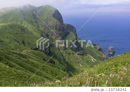 礼文島の桃岩散策路 23716241